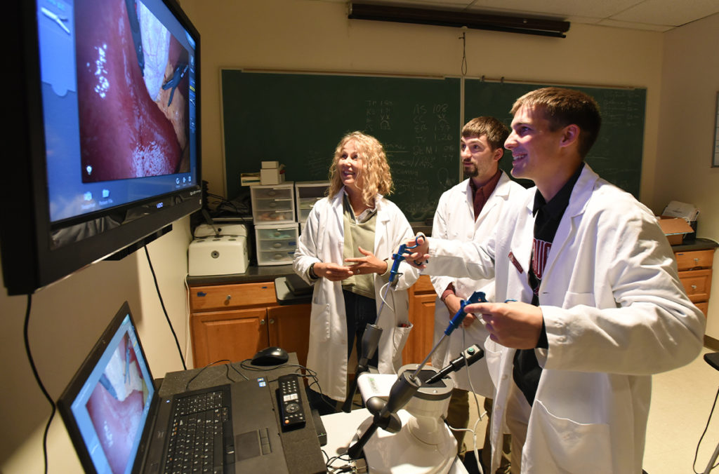 Un vétérinaire de l'université de Washington State University intègre la réalité virtuelle à l’enseignement de la chirurgie laparoscopique.